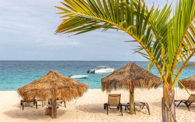 FrangiCat, Frangipani Beach Resort Anguilla