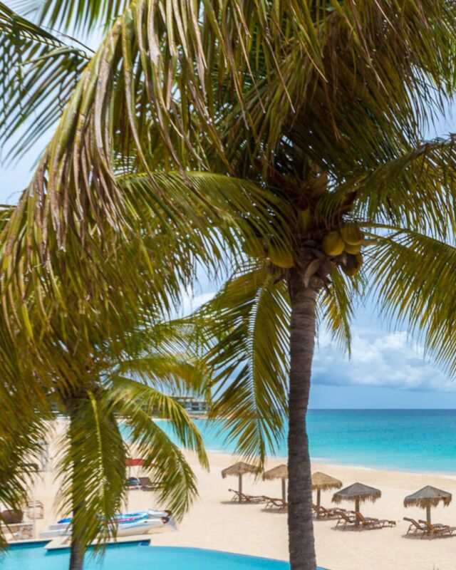 Already missing Meads Bay days, whether it’s out on the Frangi Cat II or island evenings sipping a cocktail by the bar while watching the sunset. What’s the first thing you’ll do when you’re back at Frangipani? 🌴