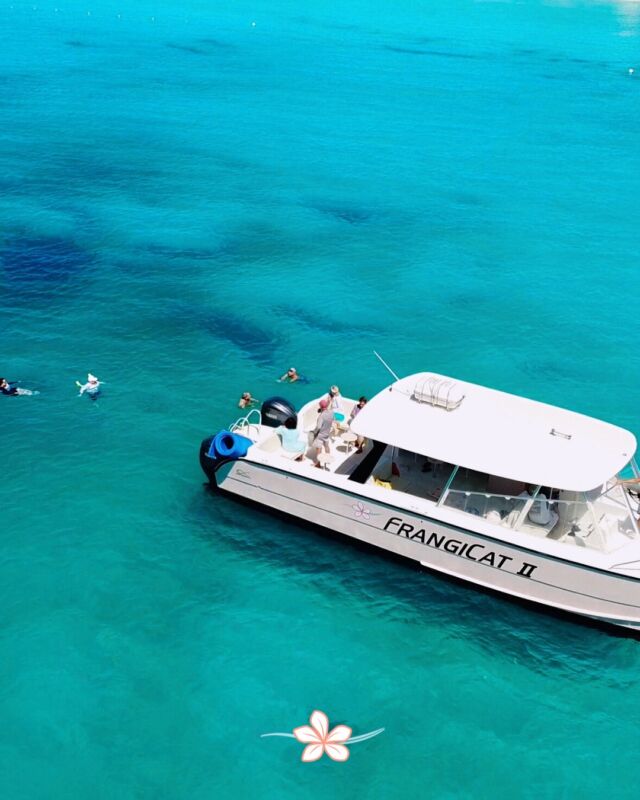 Relax all over Anguilla with our island-hopping excursion on the FrangiCat II! Explore the many beaches around the island. 🚤🏝️

Included in your excursion: water toys, snorkeling gear, local history, towels, beverages, and a stop for lunch at one of our favorite restaurants.

Contact our staff during your stay to book your outing. #frangipaniaxa