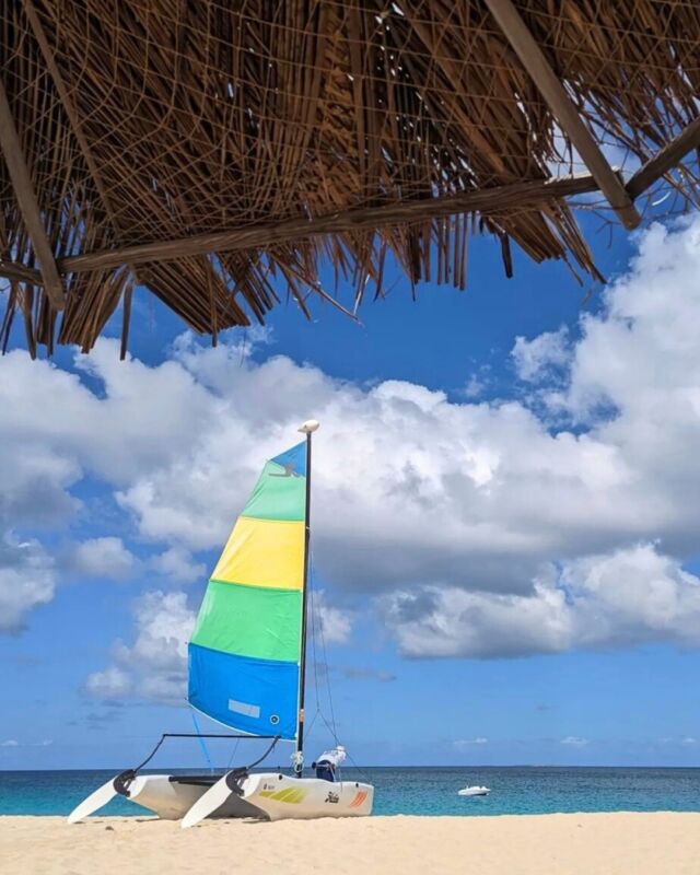 Can't decide between a hobie catamaran experience or paddleboarding? Lucky for you, Frangipani has both! Experience our array of complimentary water sports featuring a little something for all of our guests. 🌊

Contact our on-site team directly to book an experience during your stay!