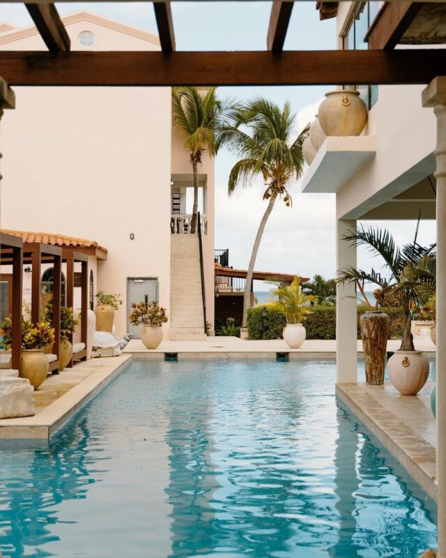 It's finally here! The day we've been waiting for.

Welcome back to Frangipani Beach Resort, where every moment feels like paradise. When will we be seeing you this season? ✨🥂🌊 #frangipaniaxa