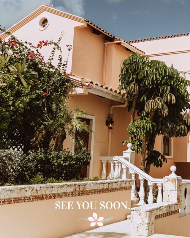 We’re taking a little island siesta. 🌴 Frangipani will be closed from August 24 to November 1, 2025… but that just means more time to plan your next Meads Bay escape. 

Link in our bio to start dreaming and explore your next adventure with us!