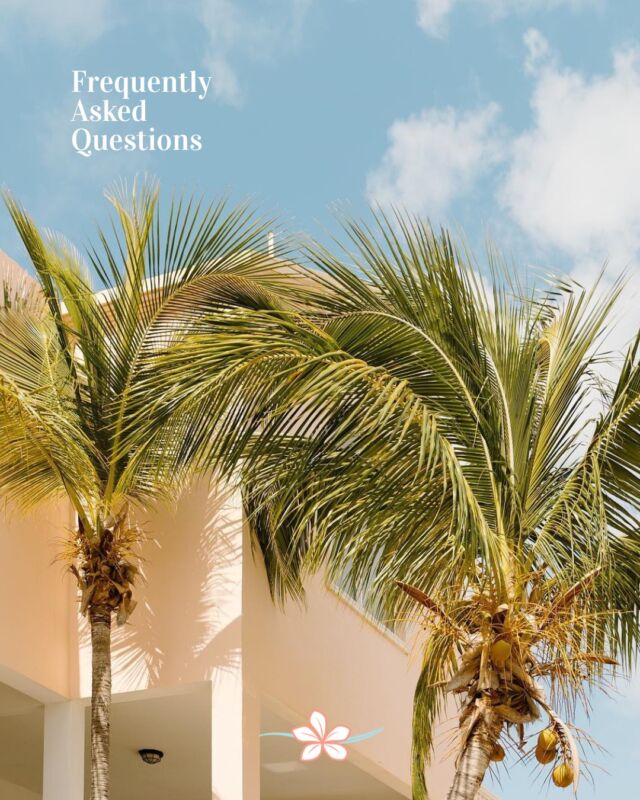 Have questions about your next trip to Frangipani? Swipe to see some of our most frequently asked questions! 🌺

Have a question that we haven't answered? Comment it below!