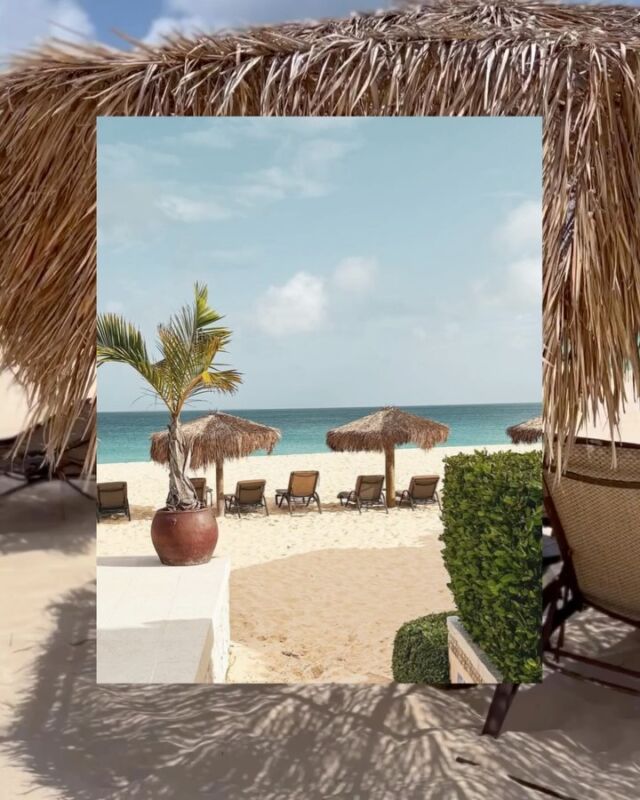 Are you spending the perfect day lounging by the pool or taking a dip in the ocean?
 
You don’t have to leave the water or the sun with our poolside beach service available all day long! Our beach staff provides towels, umbrellas, lounge chairs, and water sports assistance, while the on-site Straw Hat Restaurant offers beachside food and drink service as you relax on Meads Bay.